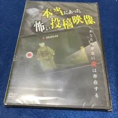裏ホラー 白石晃士 DVD - メルカリ