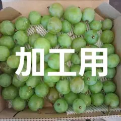 加工用ぶどう 摘房粒のサムネイル