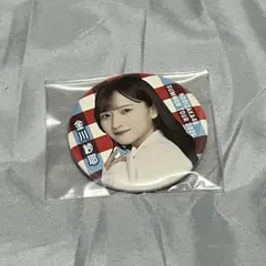 Item thumbnail for item 46ddd22a-0fd1-4ff8-ab32-3315f20f0ca0