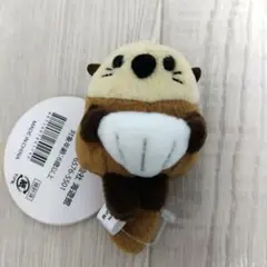 海遊館 カワウソ ぬいぐるみ キーホルダー マスコット 約10cm お土産のサムネイル