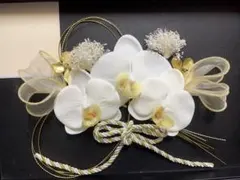 「期間限定」胡蝶蘭髪飾り　和装　前撮り　結婚　式　卒業式　ドライフラワー　水引