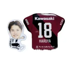 Item thumbnail for item 55a501bb-c956-4c95-b6a0-8d16d9eeb096