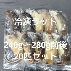 Item thumbnail for item 27f244b5-fcad-4597-b91d-bd73fca76f94