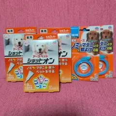 Item thumbnail for item 7359f6fe-e419-45b9-8b14-003fea5933c3