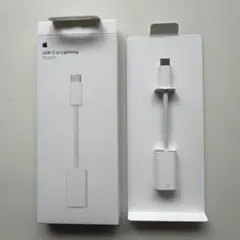 Apple USB-C to Lightning Adapter
