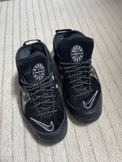 Supreme Nike Zoom Air Flight 95
