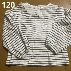 ボーダー長袖シャツ　120