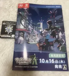 ポケモン新作　広告小冊子　おまけ付き