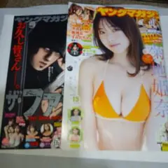 ヤングマガジン2025年15/16号　二冊セット　まとめ買いでお得です！