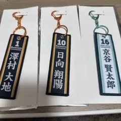 ハイキュー　タイトーくじ　G賞　フライトタグ　烏野　澤村大地 日向翔陽
