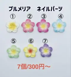 プルメリア　ネイルパーツ　7個300円〜のサムネイル