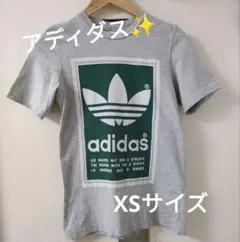 アディダス Tシャツ トップス グレー 緑 XSサイズ ブランド 夏