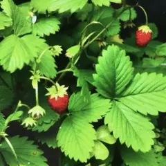 8ティン様 リクエスト 3点 まとめ商品