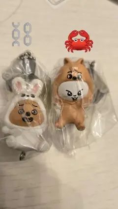 Straykids スキズ SKZOO つまんでつなげてますこっと vol.2