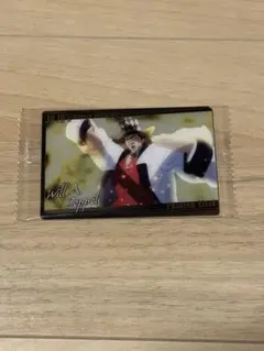 ジョジョの奇妙な冒険 ウエハースカード　ウィル・A・ツェペリ