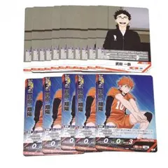 ハイキュー バボカ 最強の挑戦者 日向翔陽 武田一鉄 セット