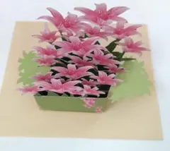 メッセージカード　誕生日　母の日　手書き　花　3Dカード　ギフト　可愛い　素敵