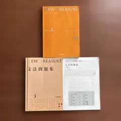 B389 NEW TREASURE ENGLISH SERIES STAGE 3