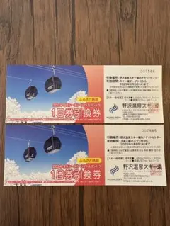 野沢温泉スキー場 1日券2枚(引換券) 野沢温泉スキー場 個人シーズン券 | F-3｜クーポン券 サービス券