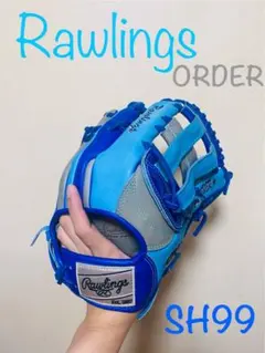 プロ支給品 実使用 矢野謙次 巨人 ローリングス プロプリモ 外野手