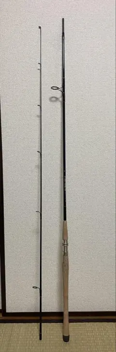 Daiwa SHIDEN メタルスナイパー 2-53P 磯竿 - メルカリ