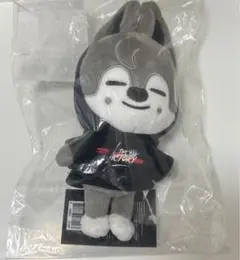 straykids スキズ　skzoo ウルフチャン the victory