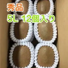 芯が甘い！【高級品】和歌山県産キウイフルーツ 5L 12個入り