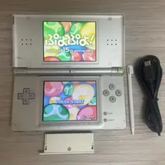 動作確認済⭐️ニンテンドーDS Lite 本体 Nintendo バイカラー