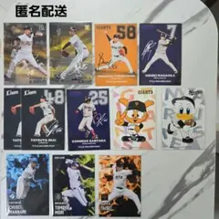 Calbeeプロ野球チップスカードまとめ売り　30枚