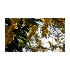 少々お待ち下さいませ✎…きてぃえもん様 リクエスト 2点 まとめ商品