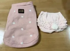 Item thumbnail for item 5842d169-cb36-48d8-a996-14bbd218626d