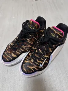 LeBron 23 Heat EP 26cm レブロン 23 バッシュ - メルカリ