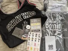 Straykids スキズ dominATE JAPAN エコパ アプグレグッズ