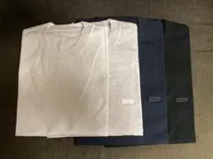 Item thumbnail for item a26f38dd-28d3-43e8-8395-210f94d0dd07