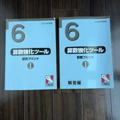 日能研 6年 算数強化ツール 算数プリント I 解答編セットのサムネイル