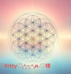 ♡Kitty♡₍˄·͈༝·͈˄₎ฅ˒˒♡様ご専用