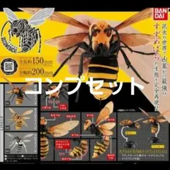 全3種コンプリート　いきもの大図鑑　すずめばち　01　昆虫　生き物　ガチャ