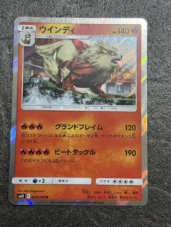 ウインディ XYE 対戦スタートセット30 エンブオーEX VSトゲキッスEX