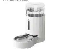 Item thumbnail for item 1dd1071f-f83c-4b47-a953-79dd89abbf04