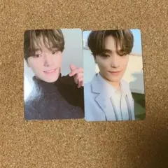 SEVENTEEN トレカ ディノ