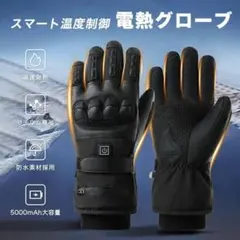 電熱グローブ バイク用 ヒーターグローブ ヒーター手袋充電式スキー バイク 登山