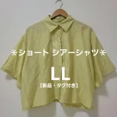 【値下げ中】半袖 ショートシャツ シアーシャツ ピスタチオカラー LLのサムネイル