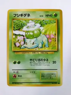 フシギダネ 旧裏 マークなし PSA8 PSA8鑑定済〕フシギダネLV.13(マークなし)【-】{旧裏}
