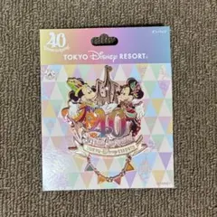 【9/30まで値下げ】ディズニー 40周年 ドリームゴーラウンド ピンバッジ