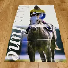 2025年最新】競馬 ポスターの人気アイテム - メルカリ