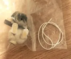 ぶらりーず　第4弾　カプセルトイ