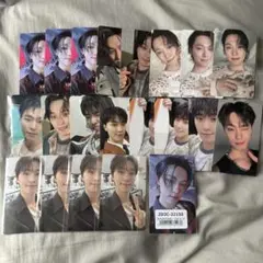 ディノ トレカ まとめ売り