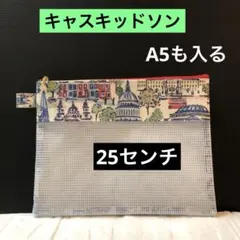 スマホも通帳も入る前面クリア キャスキッドソンダブルファスナー