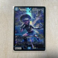 飛翔龍5000VT アセビ版 二枚 - メルカリ