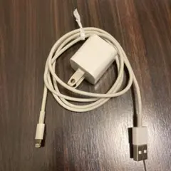 Apple純正 充電器 ライトニングケーブル